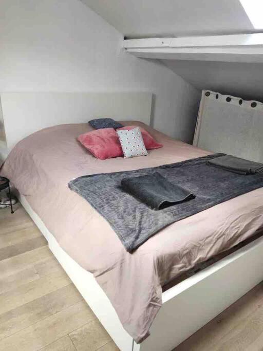 Duplex 45M2 -Zac L'Oreal - Palais De Justice Paris كليشي المظهر الخارجي الصورة
